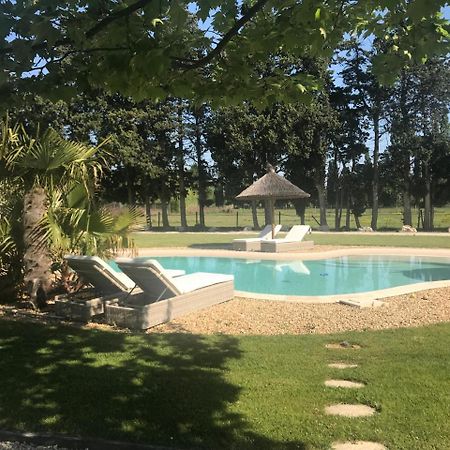 Mas Des Limites Bed & Breakfast Rognonas Екстериор снимка
